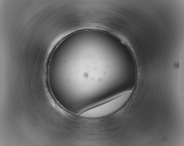 X0000111451136200907131323