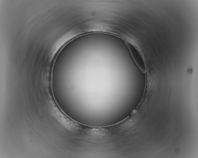 X0000111451138200907131323