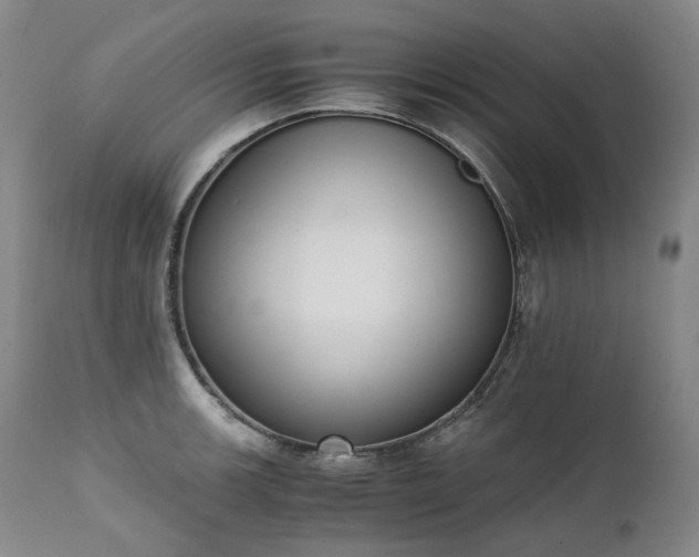X0000111451139200907131323