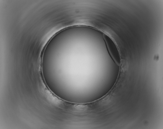 X0000111451140200907131323