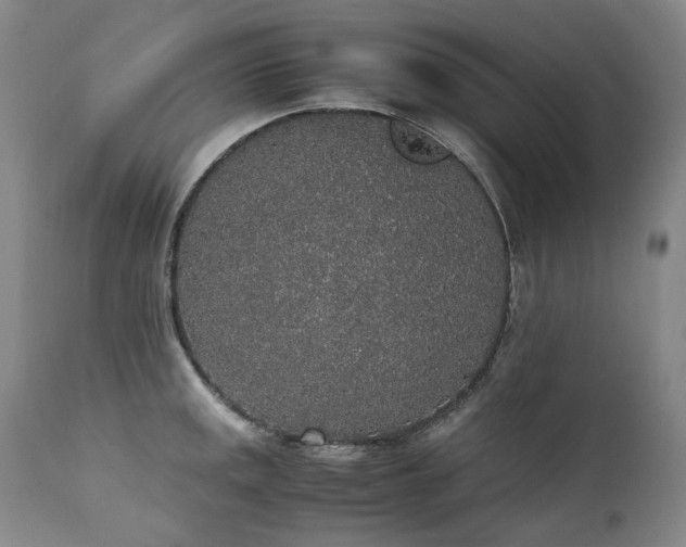 X0000111451141200907131323