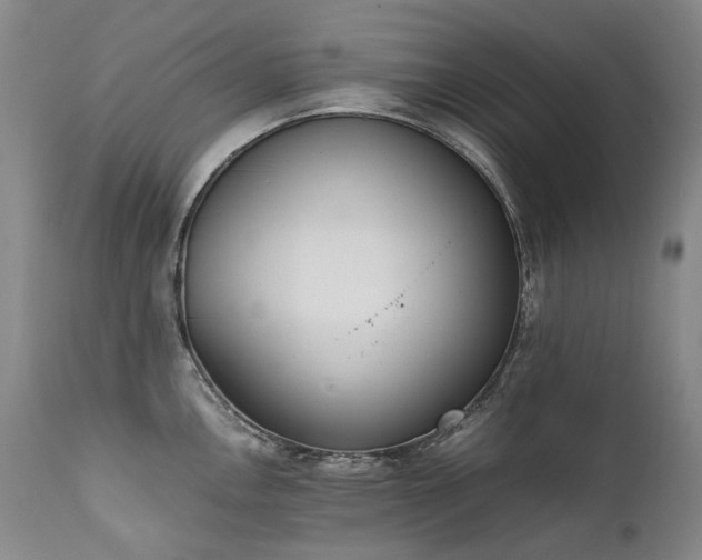 X0000111451146200907131323