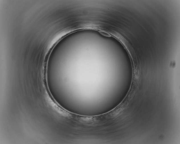 X0000111451147200907131323