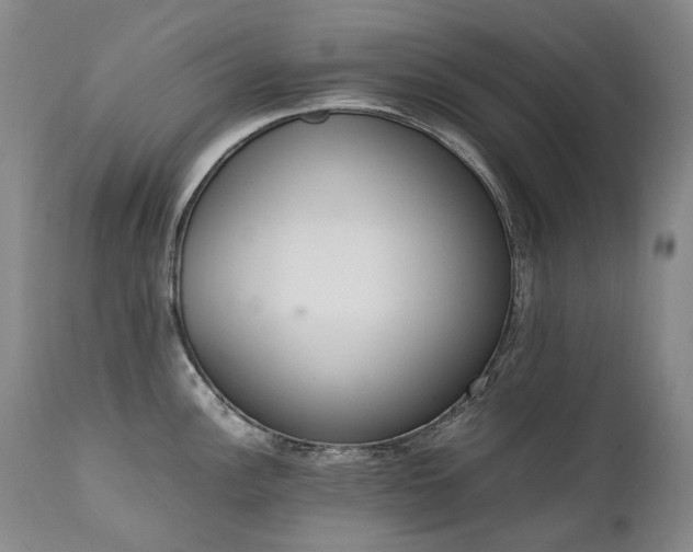 X0000111451148200907131323