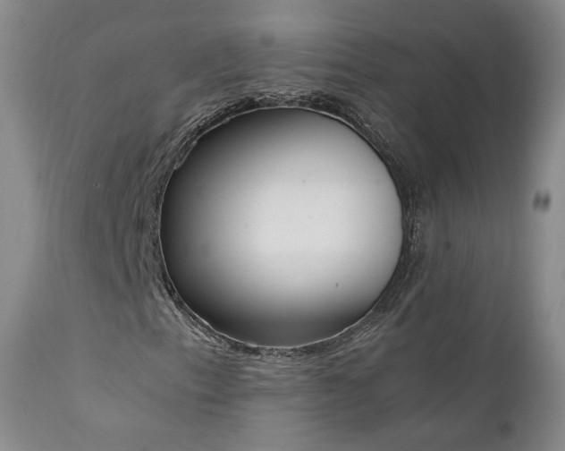X0000111451153200907131323