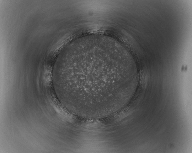 X0000111451154200907131322