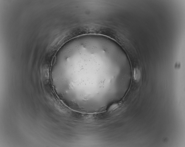 X0000111451155200907131322