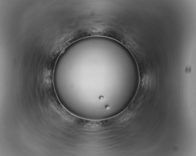 X0000111451156200907131322