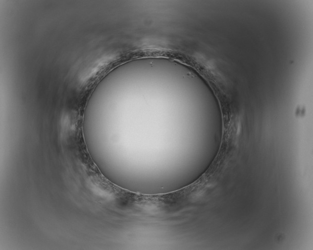 X0000111451157200907131322