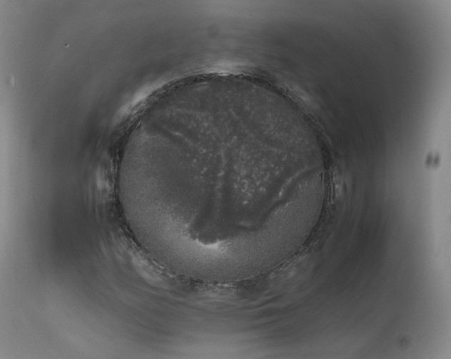 X0000111451158200907131322