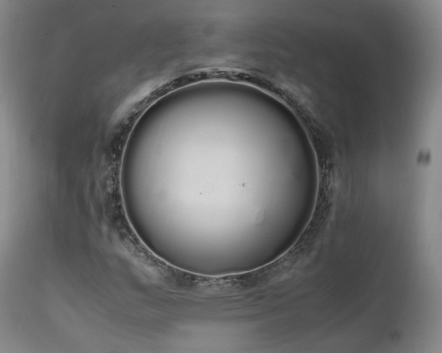 X0000111451159200907131322