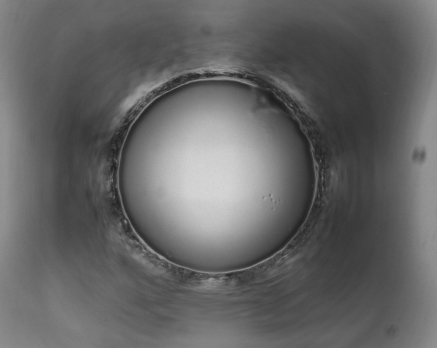 X0000111451160200907131322