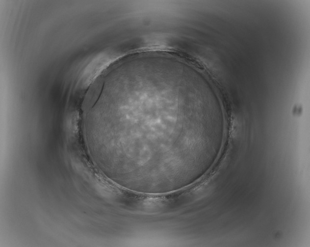 X0000111451161200907131322