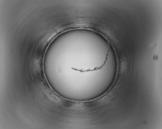 X0000111451162200907131322