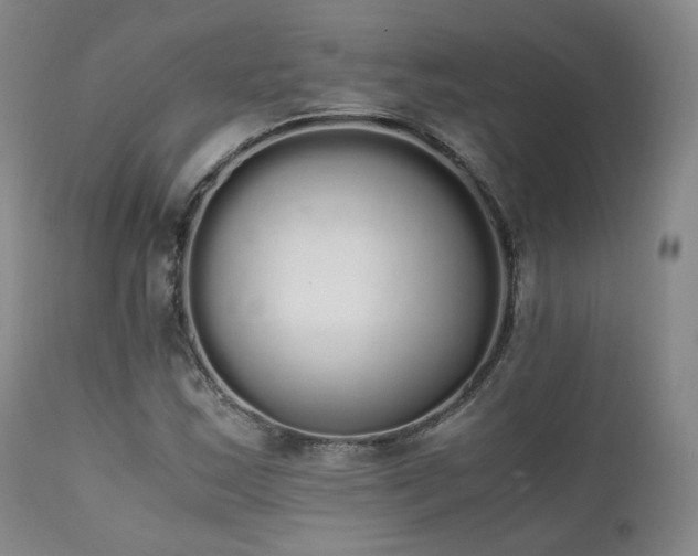 X0000111451163200907131322