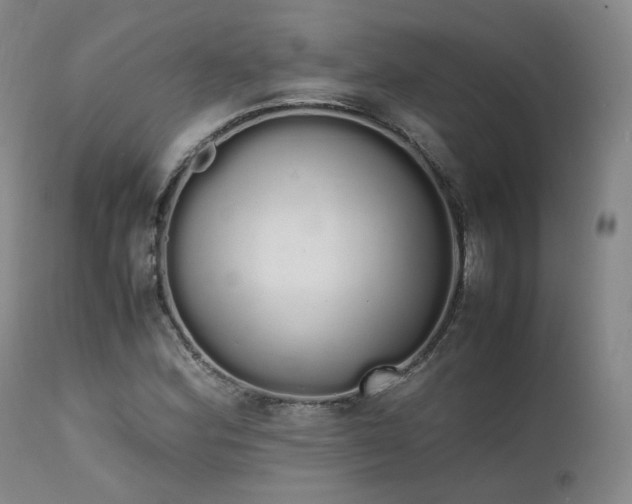 X0000111451164200907131322