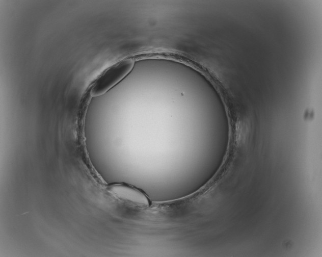 X0000111451165200907131322