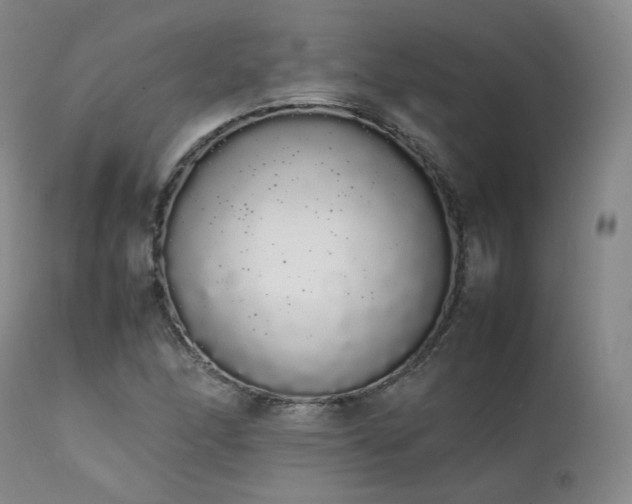 X0000111451166200907131322