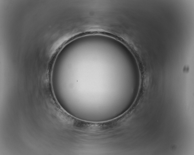 X0000111451167200907131322