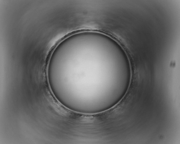 X0000111451168200907131322