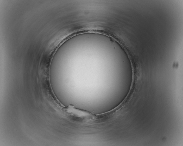 X0000111451169200907131322