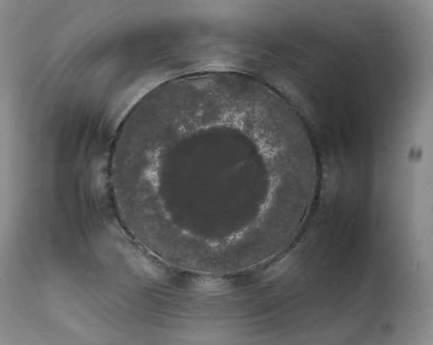 X0000111451170200907131322
