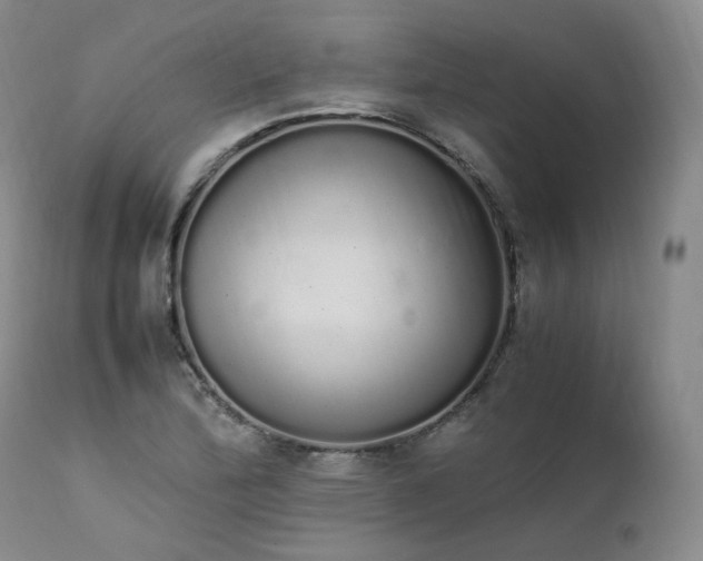 X0000111451172200907131322