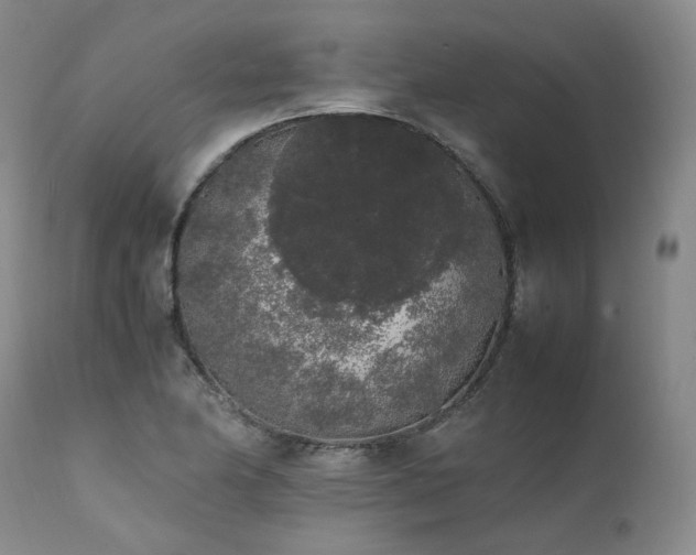 X0000111451174200907131322