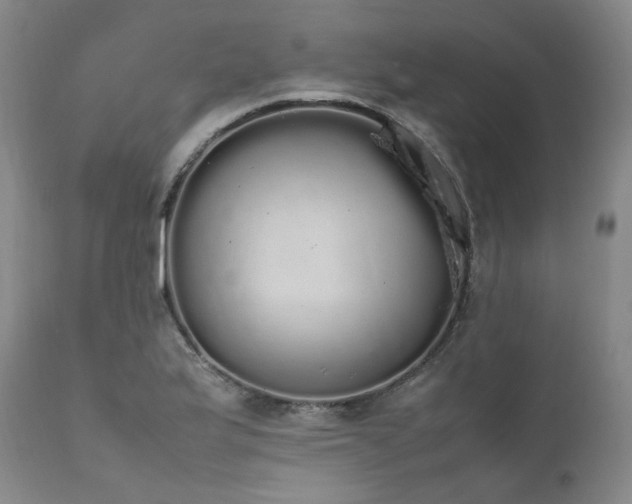X0000111451175200907131322