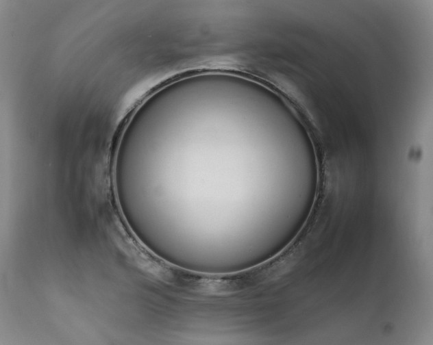 X0000111451176200907131322
