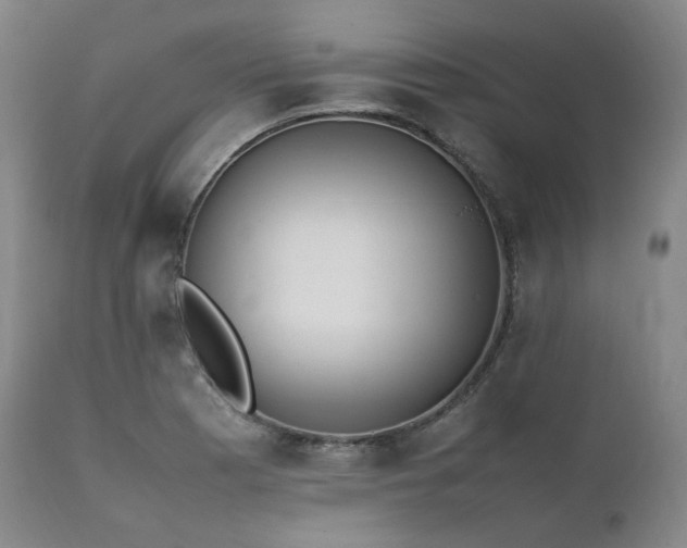X0000111451177200907131322