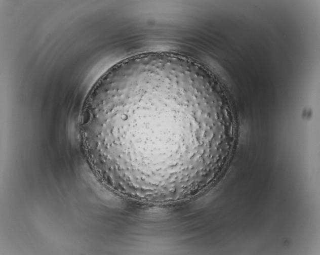 X0000111451178200907131322