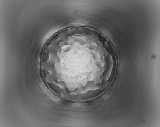 X0000111451179200907131322