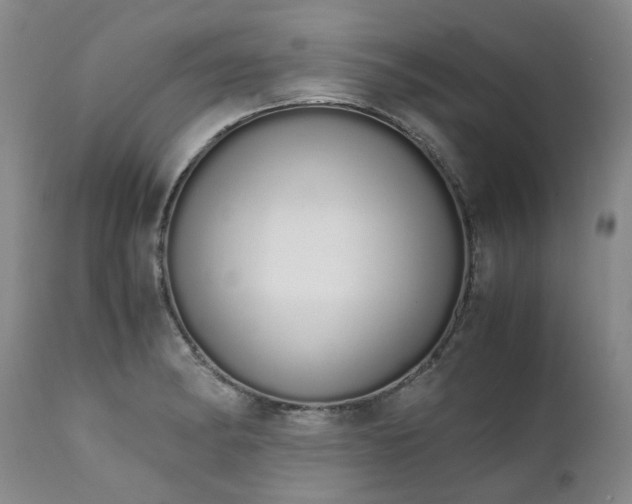 X0000111451182200907131322