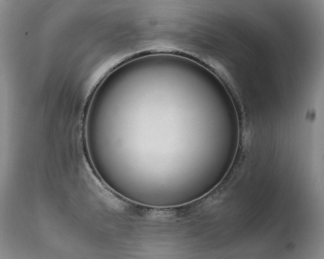 X0000111451183200907131322