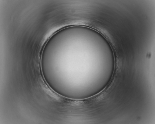 X0000111451184200907131322