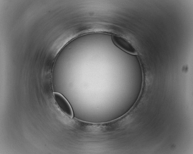 X0000111451185200907131322