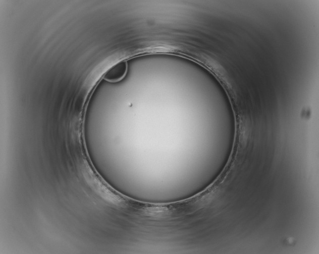 X0000111451186200907131322