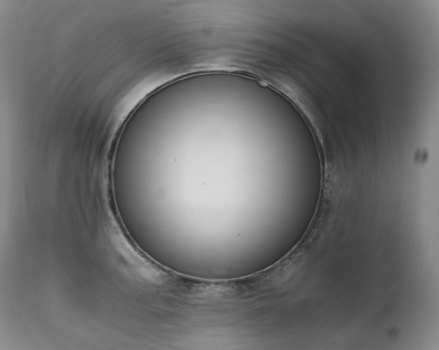 X0000111451187200907131322
