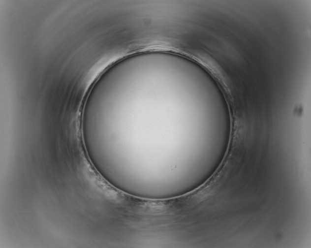 X0000111451190200907131322