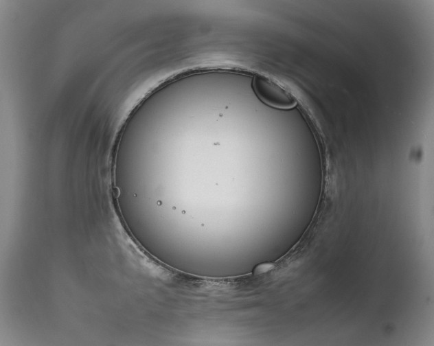 X0000111451191200907131322