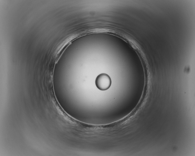 X0000111451193200907131322