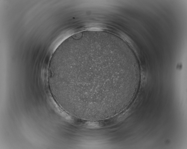 X0000111451194200907131322