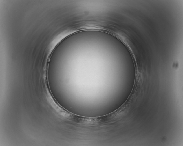 X0000111451195200907131322