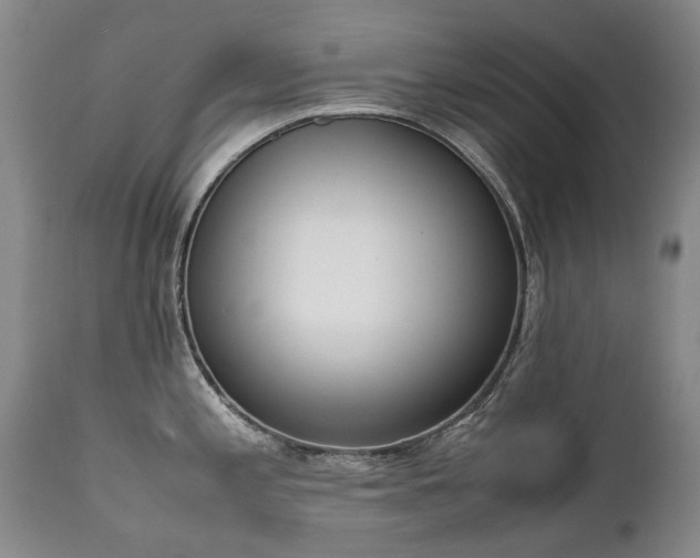 X0000111451197200907131322