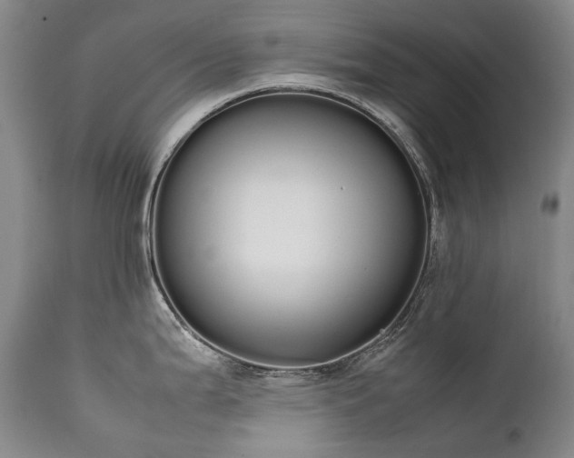 X0000111451199200907131322