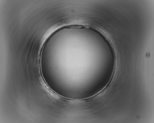 X0000111451200200907131322