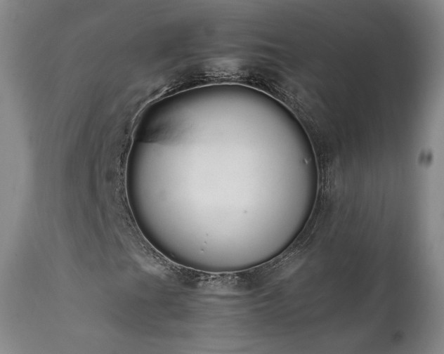 X0000111451201200907131321