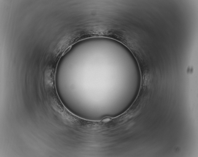 X0000111451202200907131321
