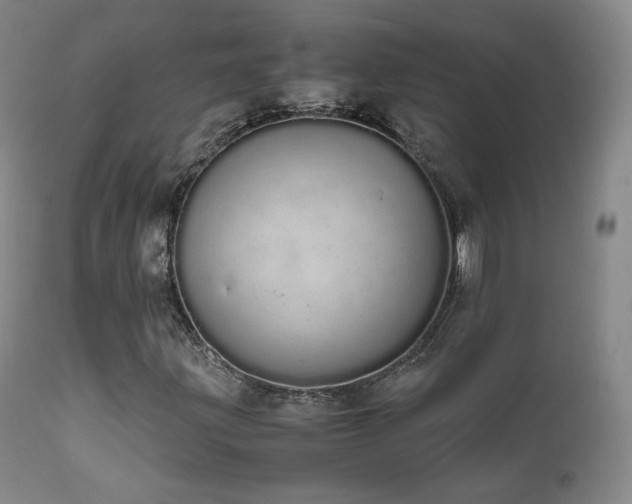 X0000111451203200907131321
